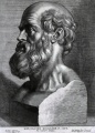 Hippocrates rubens.jpg